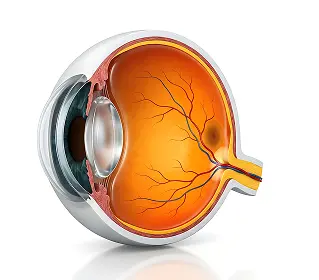 Retina care focused on your individual needs